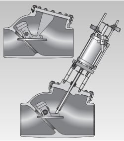 Dewrance Bled Steam Check Valve